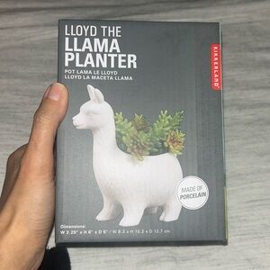 Lloyd the llama planter pot🦙🪴 NEW!